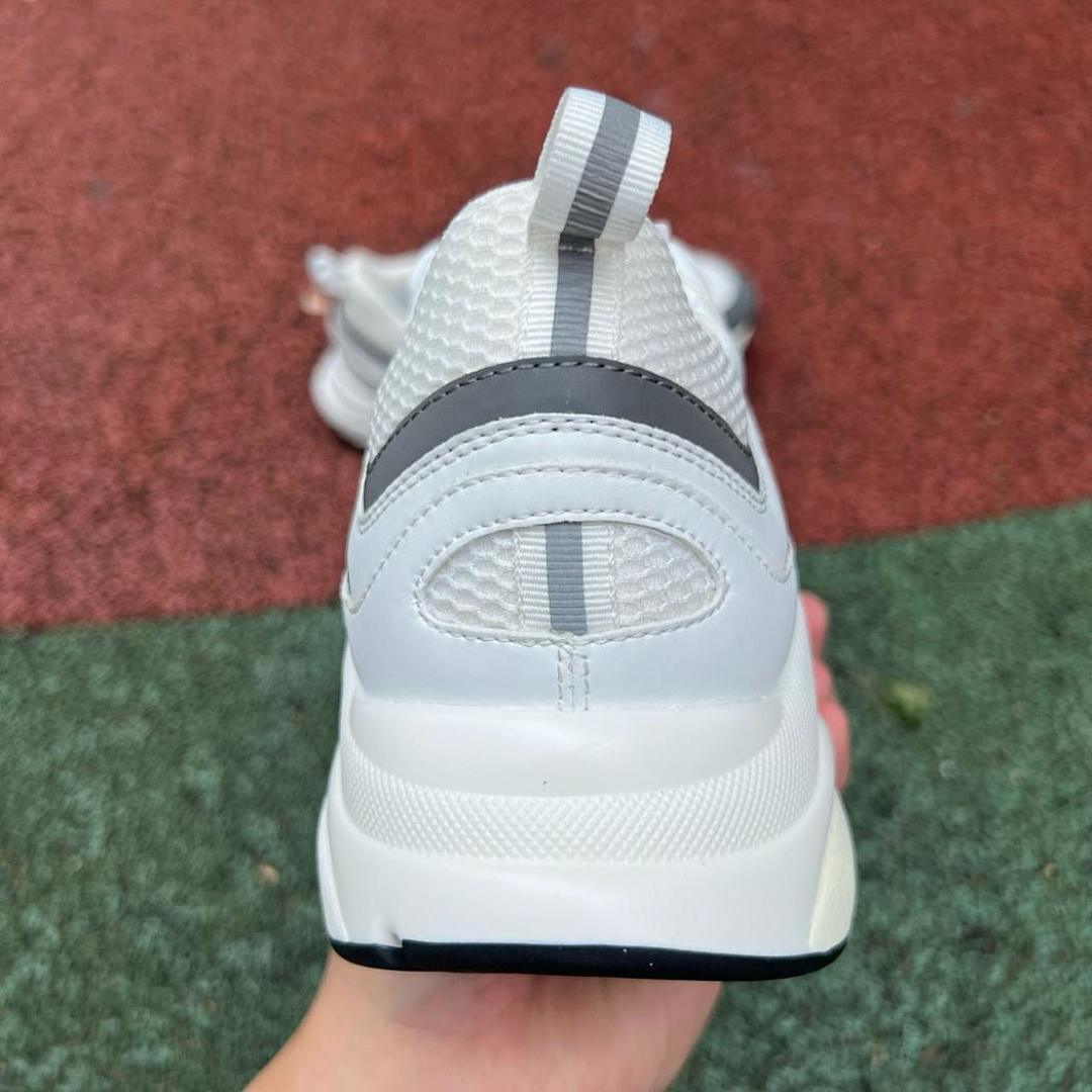 Dior B22 Sneaker White Grey