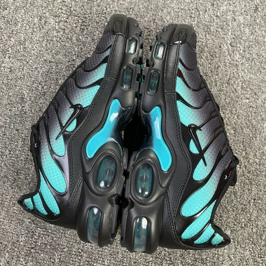 Nike Air Max Plus Black Lagoon Pulse DM0032-002