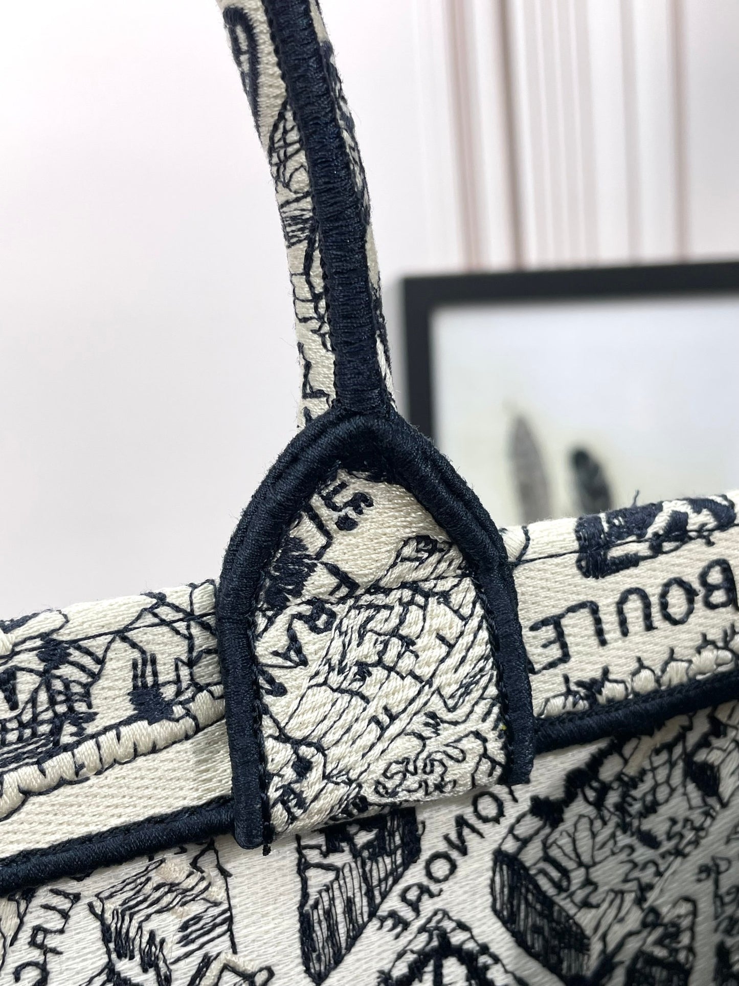 Christian Dior Medium Book Tote - Plan de Paris White and Navy Blue Embroidery