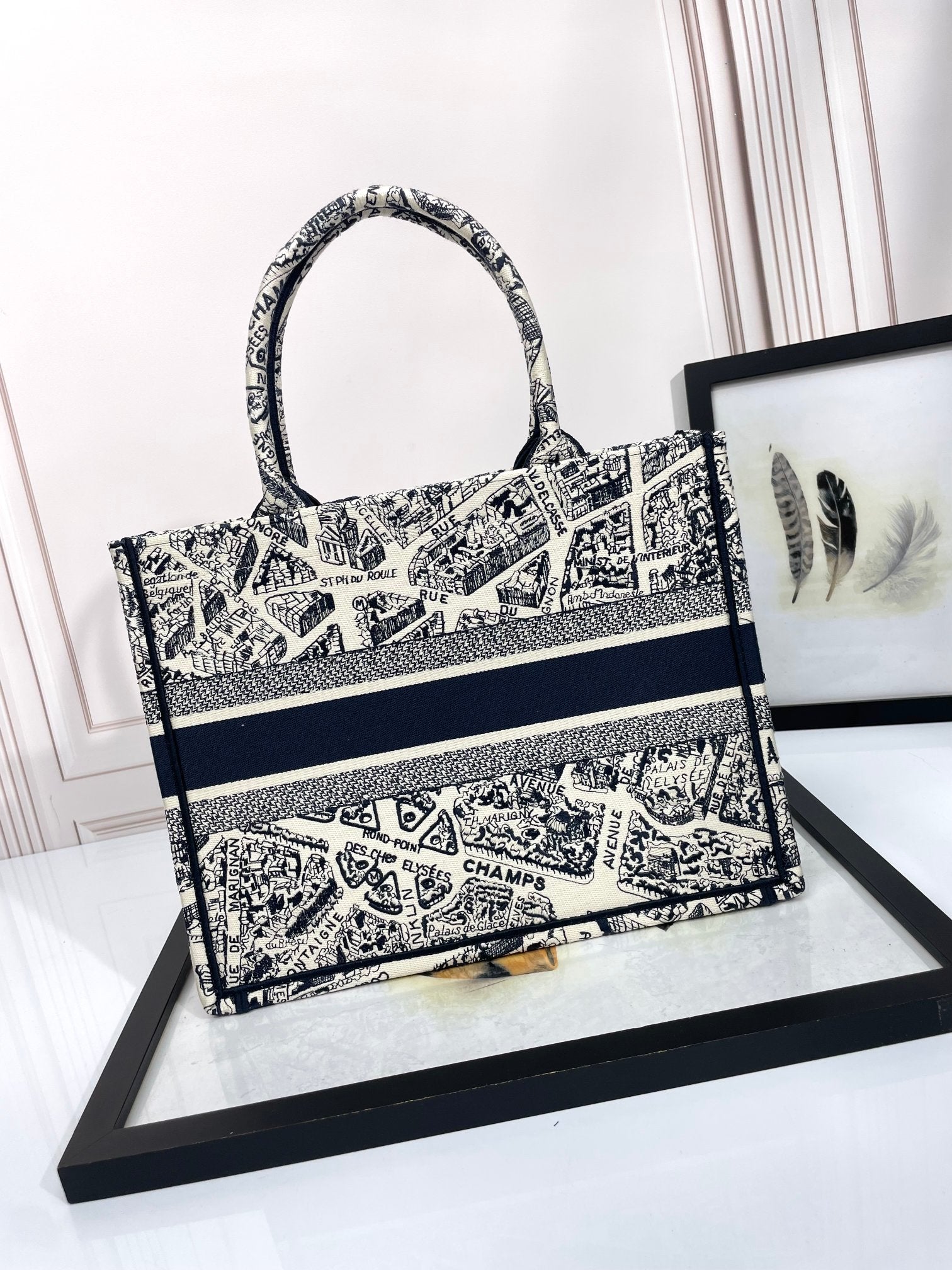 Dior Monochrome Map Pattern Large Canvas Tote Bag with Handles