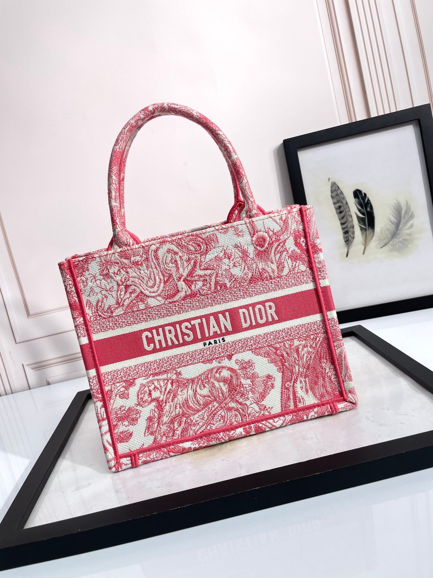 Dior Red Embroidered Toile de Jouy Canvas Tote Bag with Top Handles
