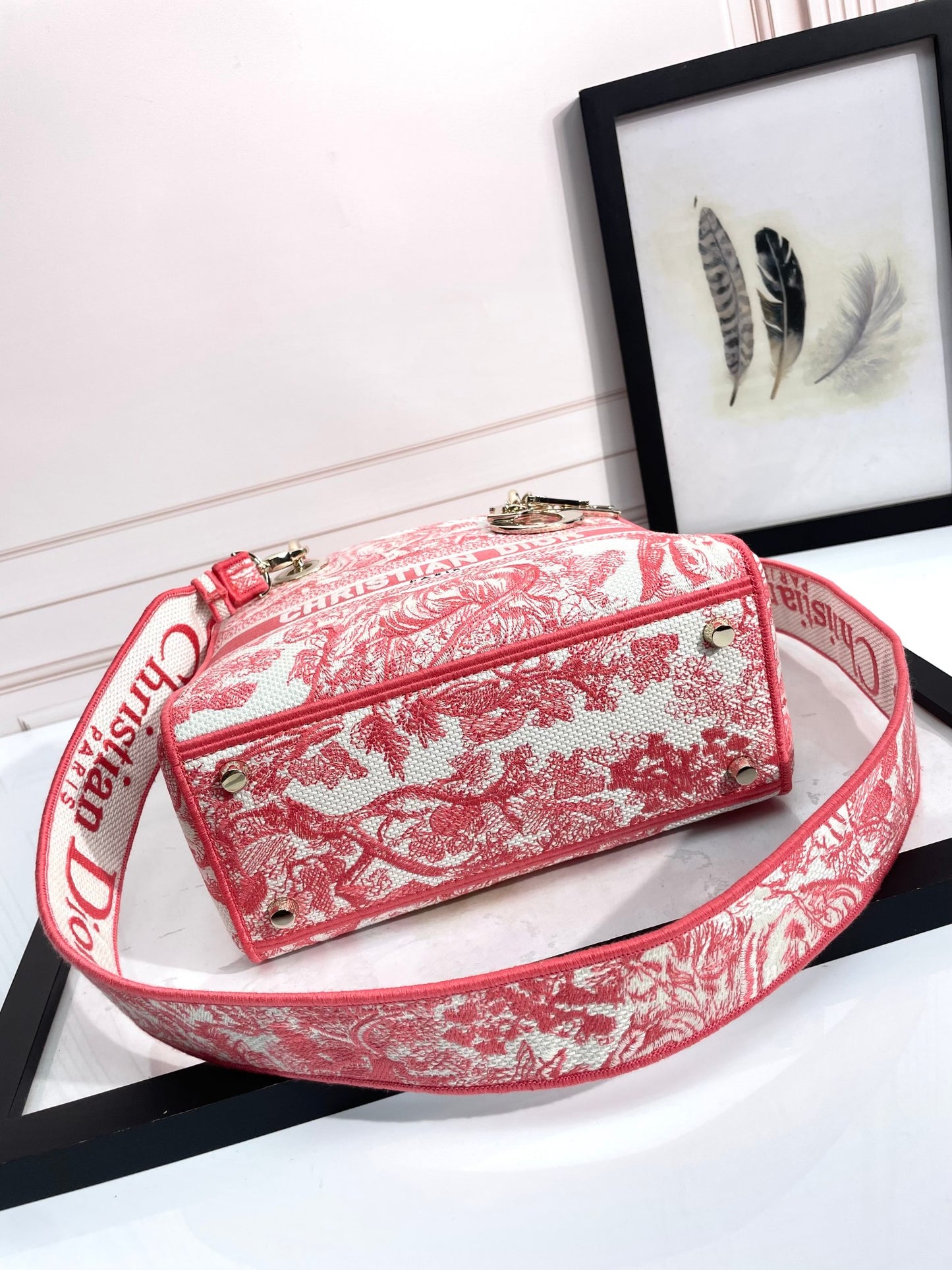 Christian Dior Medium Lady D-Lite Bag - Pink Toile de Jouy Embroidery