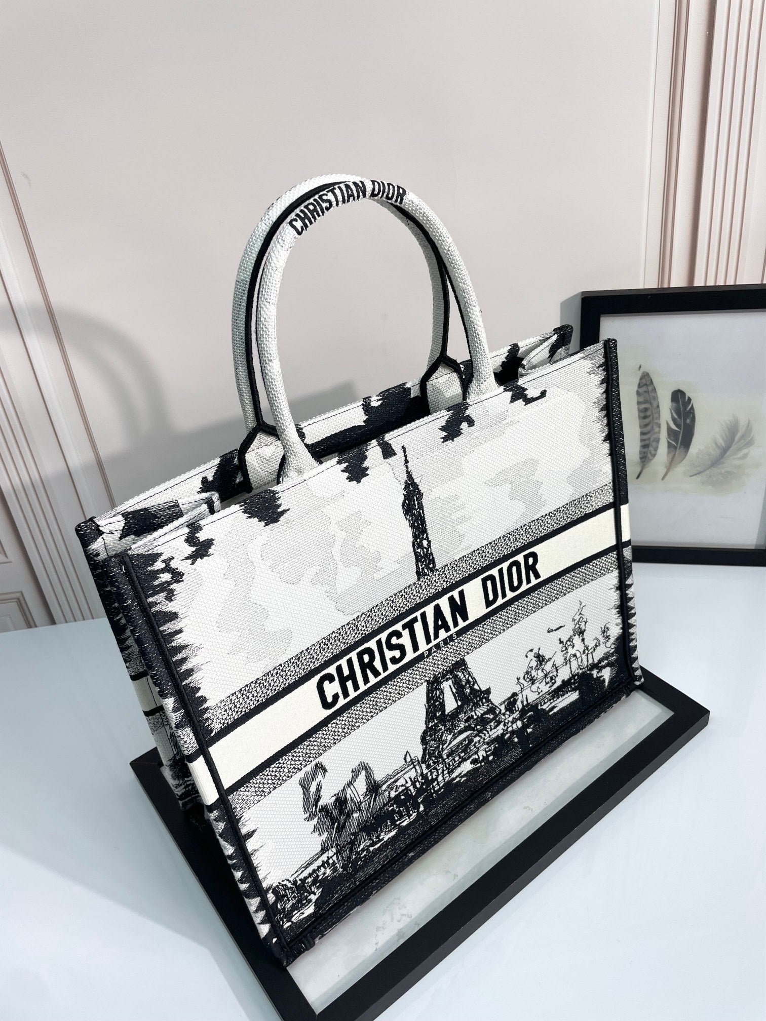 Christian Dior Medium Book Tote - Black and White Plan de Paris Embroidery