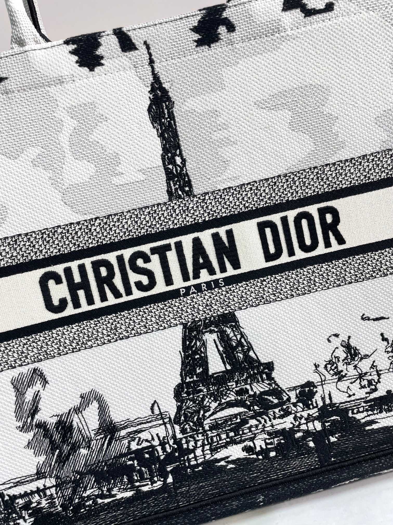 Christian Dior Medium Book Tote - Plan de Paris White and Black Embroidered Canvas