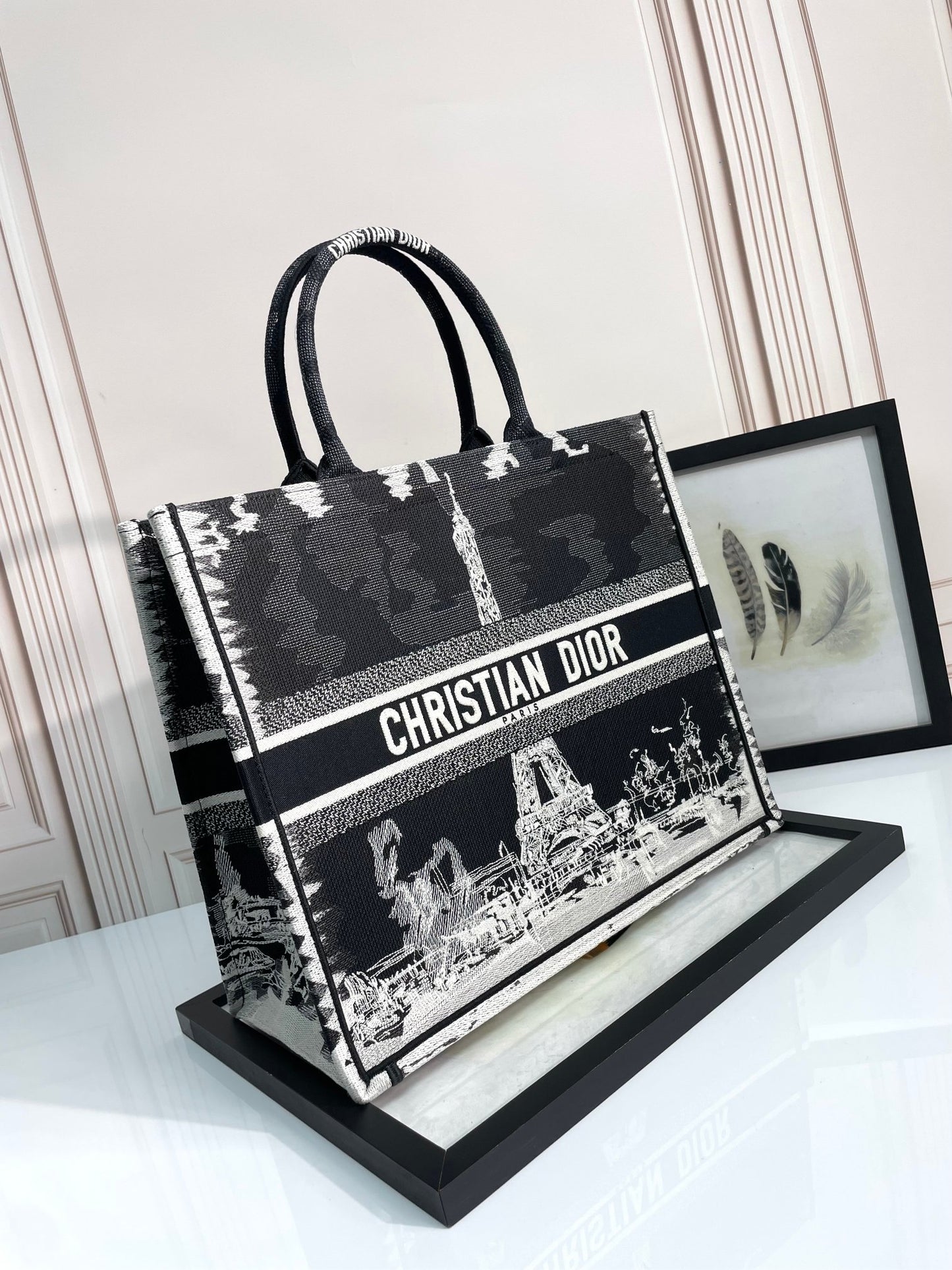 Christian Dior Large Book Tote Bag with Black and White Eiffel Tower Embroidery