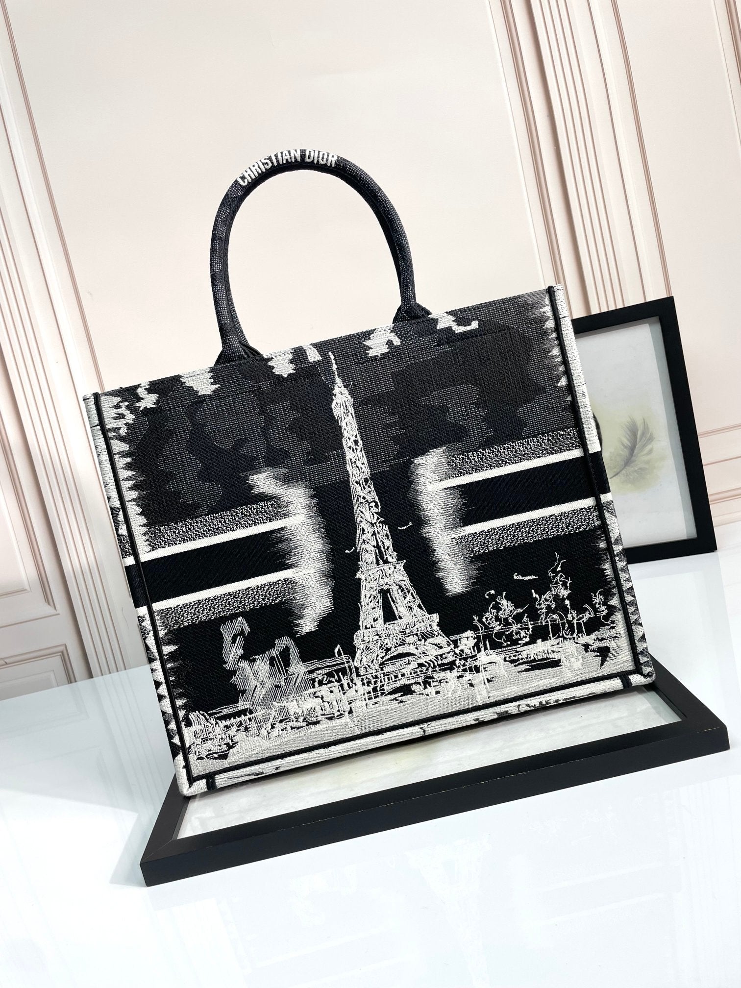 Christian Dior Large Book Tote Bag - Plan de Paris Motif - Black and White Embroidered Canvas