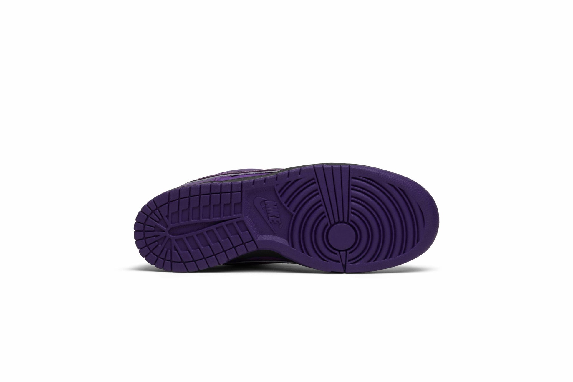 Concepts X Nike SB Dunk Low Purple Lobster BV1310-555
