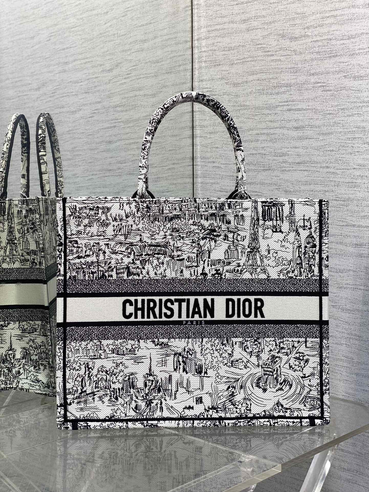 Christian Dior Large Book Tote White and Black Plan de Paris Embroidery Canvas