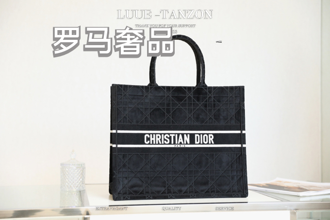 Dior Classic Black Embroidered Canvas Tote Bag with Double Top Handles
